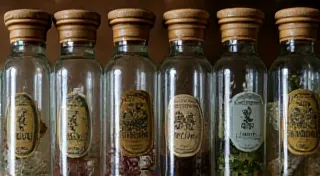 The Button Collector's Archive: Preserving the Past, One Fastener at a Time